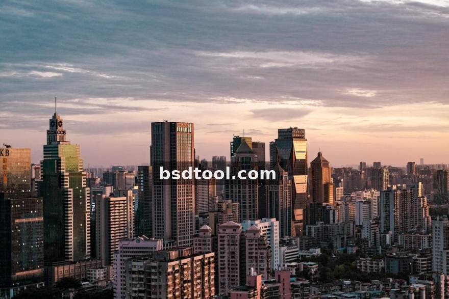 战队积分背后的记录员：周予安与一套统计口径的坚持